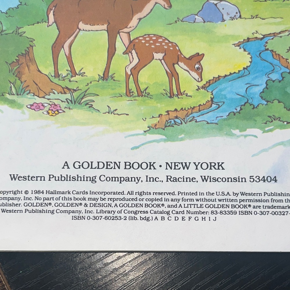 Rainbow Brite and the Brook Meadow Deer - 1984 Little Golden Book - Picture 3 of 3